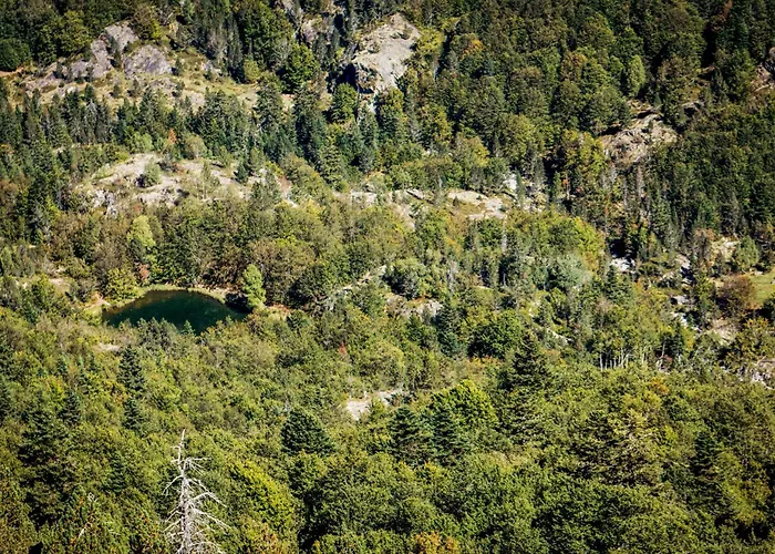 De L'arriutort 2 - *